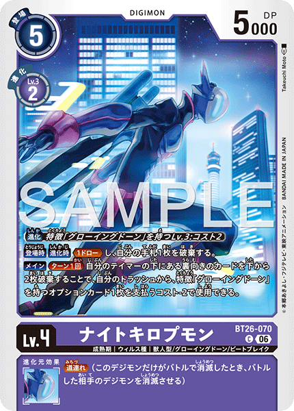 BT26-070NightChiropmon