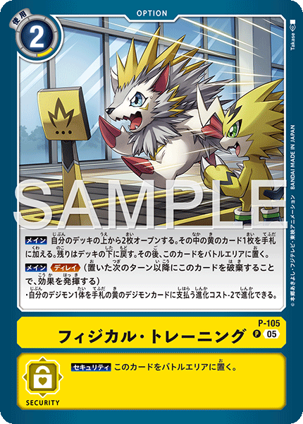 P-105Physical Training