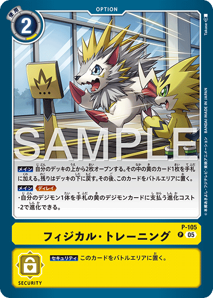 P-105Physical Training