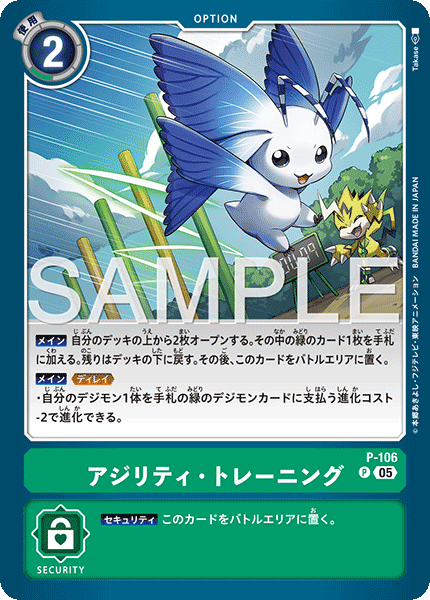 P-106Agility Training