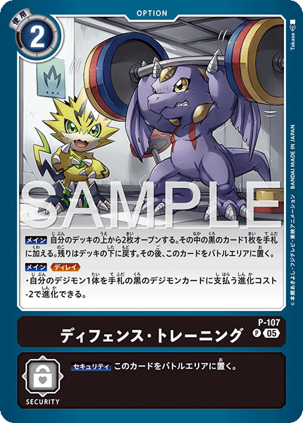 P-107Defense Training