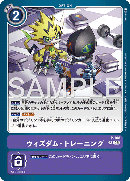 P-108Wisdom Training